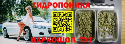 тгк Краснодар