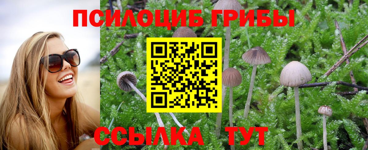 Галлюциногенные грибы GOLDEN TEACHER  Псилоцибиновые грибы прущие грибы  Вход с VPN  Каспийск 